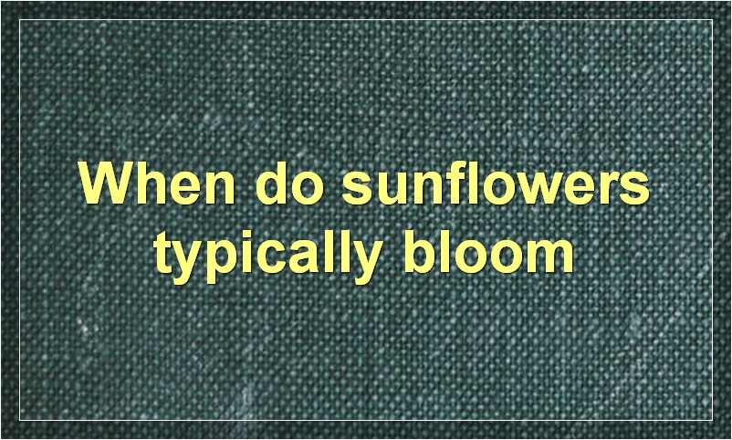 How to Start Earning - Sunflower Farmers Nft Game