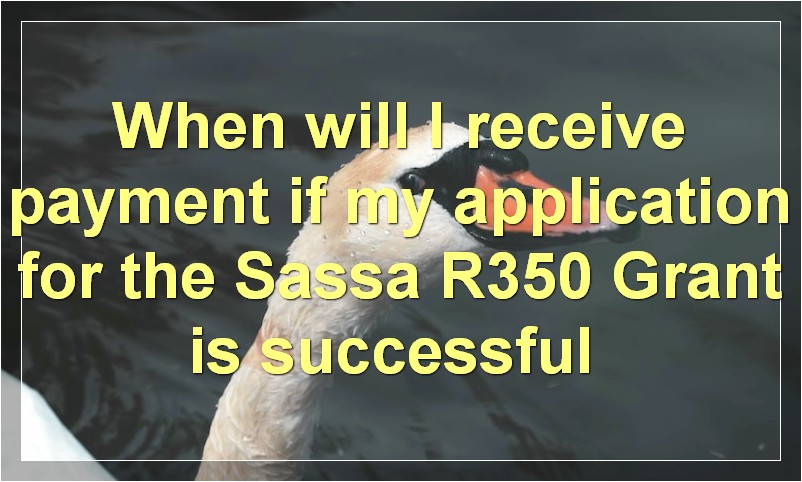 When will I receive payment if my application for the Sassa R350 Grant is successful?