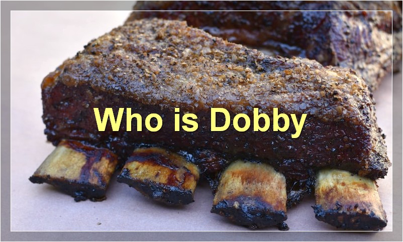 Who is Dobby?
