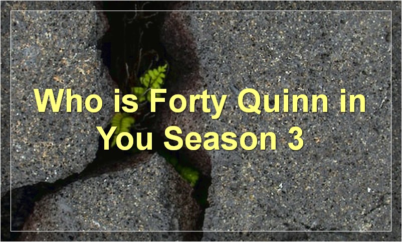 Who is Forty Quinn in You Season 3?