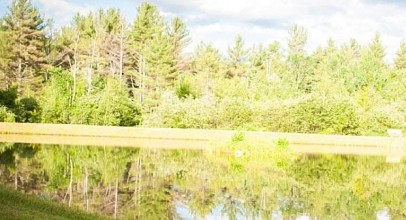 5 Things Small Medium Rental Enterprises Can Learn From the Big Taylor Rental Giant